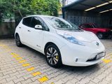 Nissan Leaf 2014