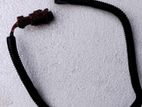 Nissan March K12 Speed Sensor