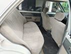 Nissan Sunny 1983