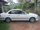 Nissan Sunny 2000