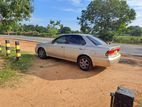 Nissan Sunny 2007 2010