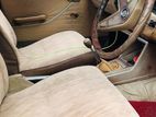 Nissan Sunny B310 1982