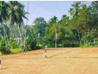 Nittabuwa Malwaththa Land for Sale