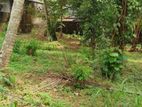 Nittabuwa Nambadaluwa Village Land for Sale