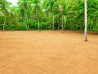 Nittabuwa Residential Land for Sale P6