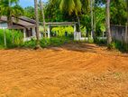 Nittambuwa 10 Perches Land for Sale (SSPL-492)