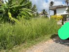 Nittambuwa 20 Feet Land for Sale