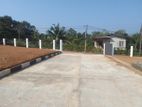 Nittambuwa kalagedihena land for sale