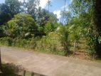 Nittambuwa Land Sale