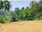 Nittambuwa Malwaththa Land for Sale