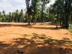 Nittambuwa Valuable Land Plots For Sale Facing to Paddy Field