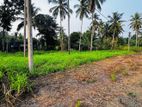 Nittambuwa Valuable Residential Land for Sale