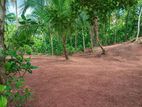 Nittambuwa Wathupitiwala Land Sale