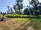නිට්ටඹුව British Way Academy සහ නුවර පාරට ලගින් ඉඩම ලක්ෂ 38 / KM 14687