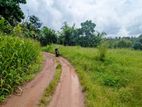 නිට්ටඹුව – කිරිඳිවැල පාරෙන් අගනා ඉඩමක්