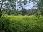 නිට්ටඹුව කිරිඳිවැල ප්‍රධාන බස් මාර්ගයට 300m දුරින් බිම් කොටසක්