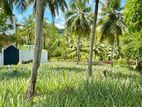 නිට්ටඹුව නගරයට 1.2km – පර්චස් 10 වටිනා බිම් කොටස්