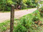 නිට්ටඹුව පින්නගොල්ලෙන් ඉඩමක්