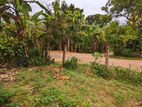 නිට්ටඹුව පින්නගොල්ලෙන් වටිනා ඉඩමක්