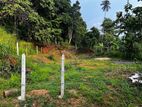 නිට්ටඹුවේ වටිනා නේවාසික ඉඩමක් විකිණීමට