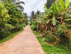 නිට්ටඹුවෙන් වටිනා ඉඩමක් / DU 11015