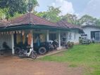 නිවස සහ පර්චස් 95 ක ඉඩම විකිනීමට පාදුක්ක