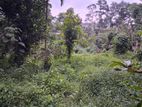 Land with House for Sale Digana