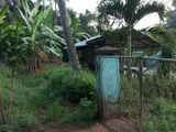 Land with House for Sale හිරියාල ලේනව මැල්සිරිපුර