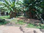 Kibulapitiya Land for Sale
