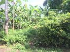 Land for Sale in Kiriwaththuduwa