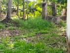Land with House sale in Kuliyapitiya