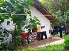 House with Land Kakanadura