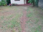 House with Land for Sale in Kekanadura