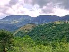නක්ලස් කදු පංතියම පෙනෙන ඉඩම හුන්නස්ගිරිය
