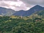 නක්ලස් කදු පංතියම පෙනෙන ඉඩම හුන්නස්ගිරිය