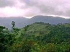 නක්ලස් කදු පංතියම පෙනෙන ඉඩම හුන්නස්ගිරිය