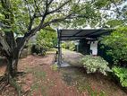 (NL473) 11.5 Perch Land for Sale in Dehiwala