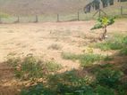 (NL565) 37 Perch Land for Sale in Akurugoda