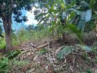 (NL615) 360Perch Land for Sale in Kamburupitiya