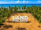 (NL623) 787 Perch Land with house for Sale in Chilaw