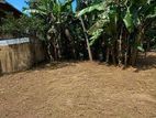 (NL650) 17 Perch Land for Sale in Dehiwala