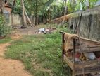 நல்லூர் – செட்டித்தெருவில் பெறுமதியான காணி விற்பனைக்கு