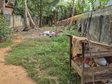 நல்லூர் – செட்டித்தெருவில் பெறுமதியான காணி விற்பனைக்கு