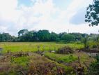 (NNI369) Facing Paddy filed 200 P Land Sale at Battaramulla