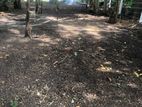Land for Sale in Kelaniya