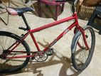 Non-Gear Bicycle