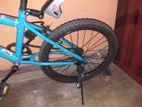 normal bike