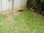 Normal Land with House for Sale in Delgoda