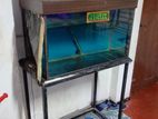Not for sell fish