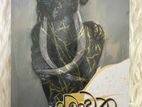 Novel Book